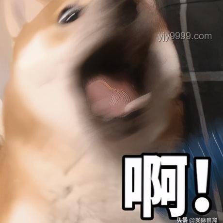 多国名校为何疯抢哈佛留学生？